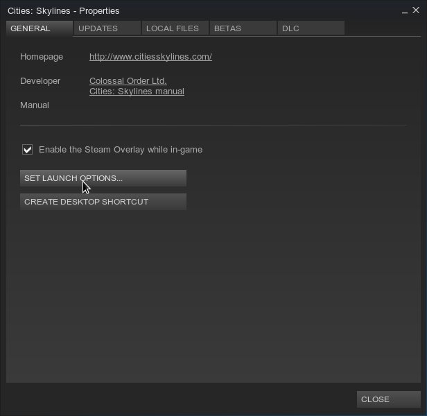 Cities: Skylines settings in Steam for Linux